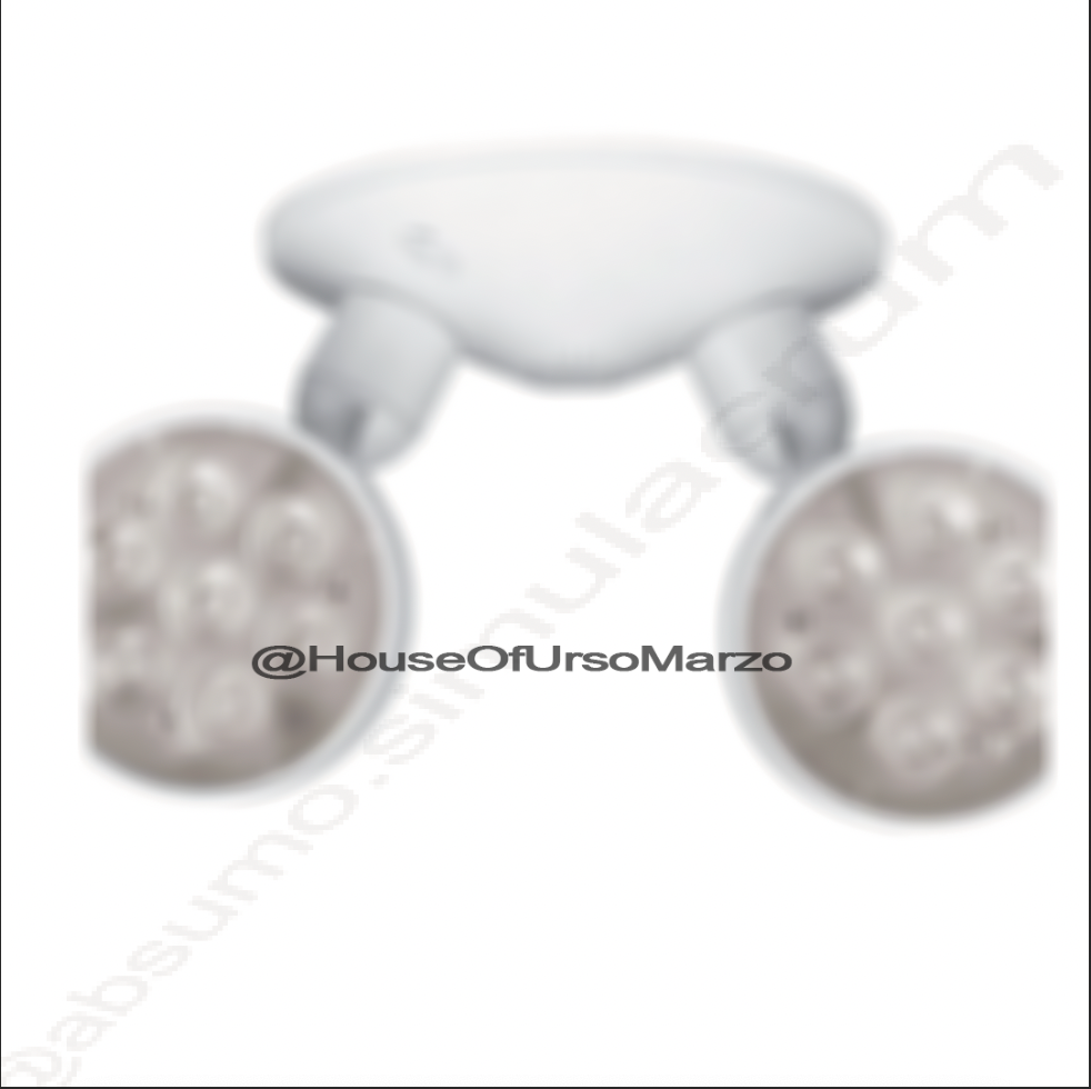 Home / Exit & Emergency Lighting / Double LED Emergency Light Remote Head – 6-24V5W
