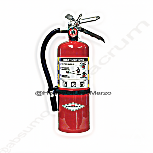Home / Fire Extinguishers / Amerex / 10lb Fire Extinguisher – Amerex 330 Carbon Dioxide Amerex, Fire Extinguishers